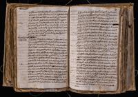 ku-speccoll:8176-487