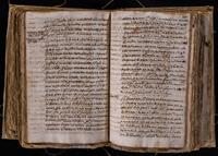 ku-speccoll:8176-491