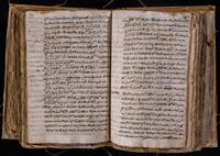 ku-speccoll:8176-495