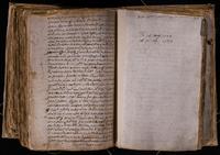 ku-speccoll:8176-555