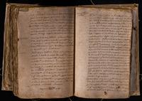 ku-speccoll:8176-557