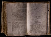 ku-speccoll:8176-596