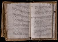 ku-speccoll:8176-608