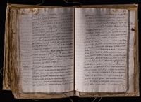 ku-speccoll:8176-618