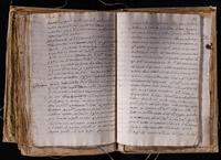 ku-speccoll:8176-619