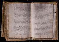 ku-speccoll:8176-625