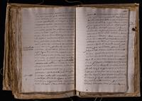 ku-speccoll:8176-631