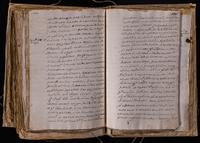 ku-speccoll:8176-632