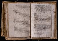 ku-speccoll:8176-637