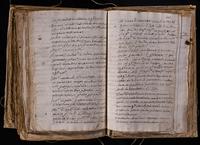 ku-speccoll:8176-650