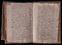 ku-speccoll:8176-660