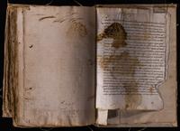 ku-speccoll:8176-698