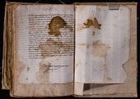 ku-speccoll:8176-699