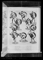 University of Kansas Men's Basketball Team, 1933-1934