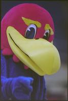 University of Kansas Women's Basketball Game vs. Oklahoma State University