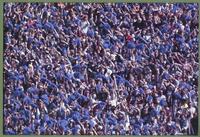 Fans waving blue pompoms