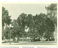 Jayhawk Boulevard