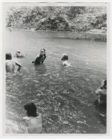 People Swimming in Potter Lake