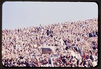 Football fans waving the wheat