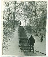 Snowy stairs from Memorial Drive to Bailey Hall