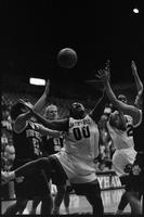 University of Kansas Women's Basketball Game vs. University of Northern Iowa