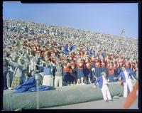 Football fans waving the wheat