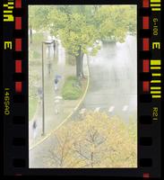 Rainy day on Jayhawk Boulevard