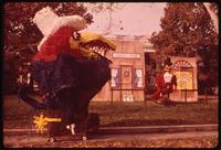 Homecoming display