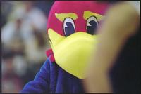 University of Kansas Women's Basketball Game vs. Oklahoma State University
