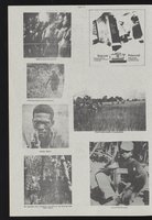 ku-wilcox:251-12